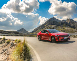 Kia Stinger Red Dynamic  (20)